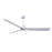 Matthews Fan Alessandra 1 3 Blade 56" Ceiling Fan