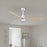 Matthews Fan Alessandra 1 Light 56" 3 Blade Ceiling Fan, White