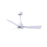 Matthews Fan Alessandra 1 3 Blade 42" Ceiling Fan