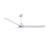 Matthews Fan Alessandra 1 3 Blade 56" Ceiling Fan