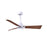 Matthews Fan Alessandra 1 3 Blade 42" Ceiling Fan