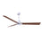 Matthews Fan Alessandra 1 3 Blade 56" Ceiling Fan