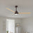 Matthews Fan Alessandra 1 Light 56" 3 Blade Ceiling Fan, TB