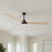 Matthews Fan Alessandra 1 Light 72" 3 Blade Ceiling Fan, TB