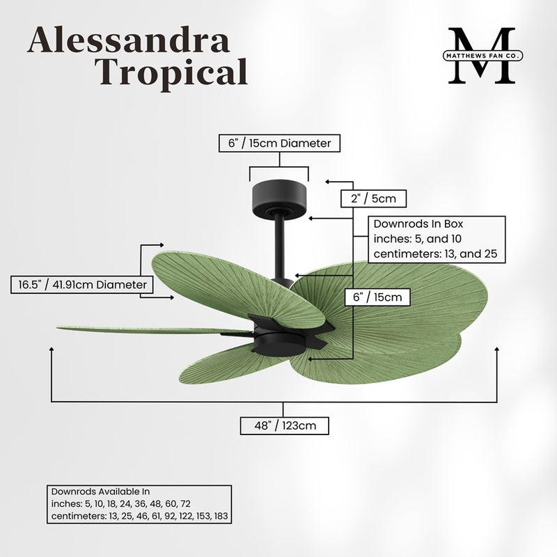 Matthews Fans Alessandra Tropical 48in 5-Blade Ceiling Fan | Transitional Matte Black and Palm Leaf ABS Blades | Outdoor Patio | Model AKTP-BK-PL