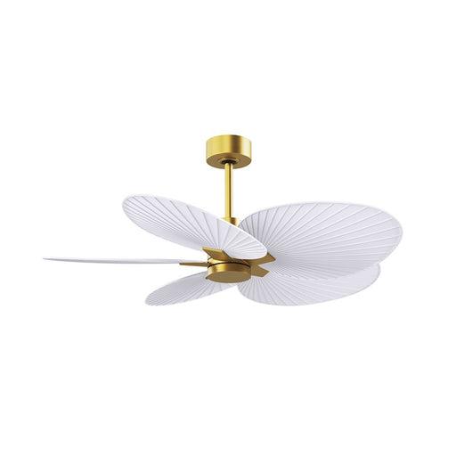 Matthews Fans Alessandra Tropical 48in 5-Blade Ceiling Fan | Brushed Brass and Matte White ABS | Covered Patios & Pergolas | Model AKTP-BRBR-MWH