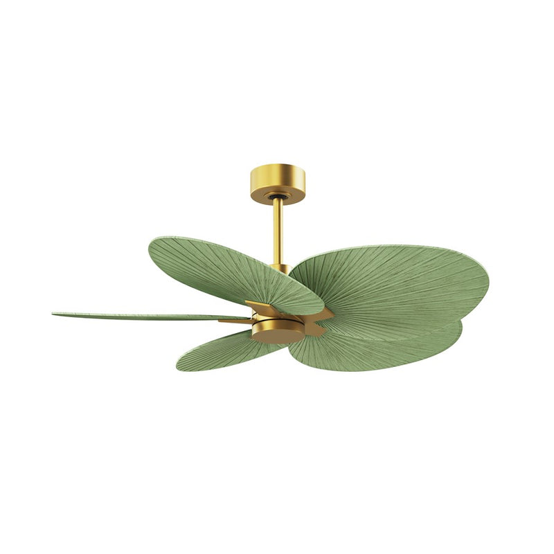 Matthews Fans Alessandra Tropical 48in 5-Blade Ceiling Fan | Transitional Brushed Brass and Palm Leaf ABS Blades | Covered Patio | Model AKTP-BRBR-PL