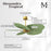 Matthews Fan Alessandra Tropical 48" 5 Blade Ceiling Fan, Brass