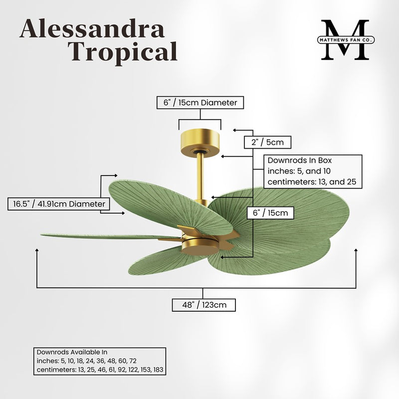 Matthews Fans Alessandra Tropical 48in 5-Blade Ceiling Fan | Transitional Brushed Brass and Palm Leaf ABS Blades | Covered Patio | Model AKTP-BRBR-PL