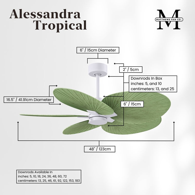 Matthews Fans Alessandra Tropical 48in 5-Blade Ceiling Fan | Transitional Matte White and Palm Leaf ABS Blades | Covered Patio | Model AKTP-MWH-PL