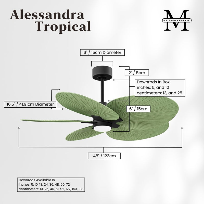 Matthews Fan Alessandra Tropical 48in 5-Blade Ceiling Fan | Transitional Matte Black and Palm Leaf ABS | Covered Patio & Open | Model AKTPLK-BK-PL