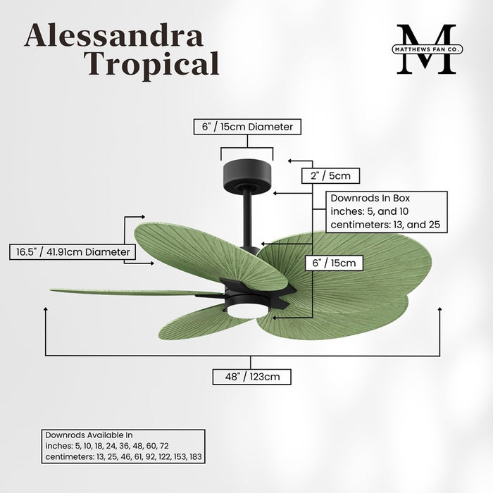 Matthews Fan Alessandra 1 Lt Tropical 48" 5 Blade Fan, Black
