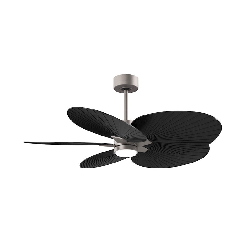 Matthews Fan Alessandra Tropical 48in 5-Blade Ceiling Fan | Transitional Brushed Nickel and Matte Black ABS | Covered Patio | Model AKTPLK-BN-BK