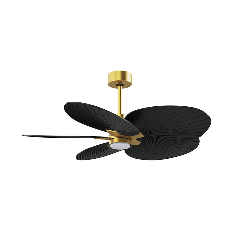 Matthews Fans Alessandra Tropical 48in 5-Blade Ceiling Fan | Brushed Brass and Matte Black ABS Blades | Covered Patio & Large | Model AKTPLK-BRBR-BK