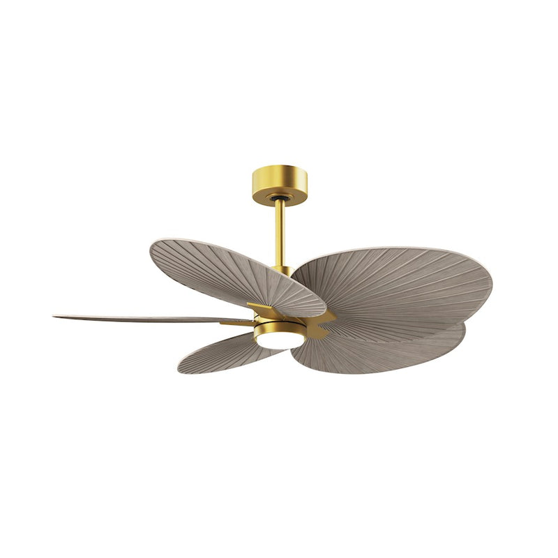 Matthews Fans Alessandra Tropical 48in 5-Blade Ceiling Fan | Transitional Brushed Brass and Gray Ash Tone ABS Blades | Covered | Model AKTPLK-BRBR-GA