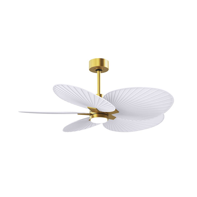 Matthews Fans Alessandra Tropical 48in 5-Blade Ceiling Fan | Brushed Brass and Matte White ABS Blades | Covered Patio | Model AKTPLK-BRBR-MWH