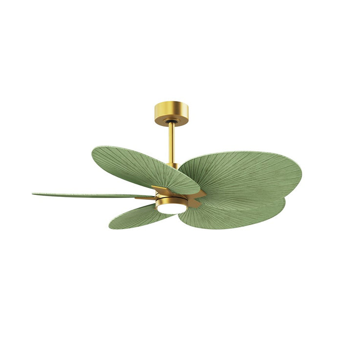 Matthews Fan Alessandra 1 Lt Tropical 48" 5 Blade Fan, Brass