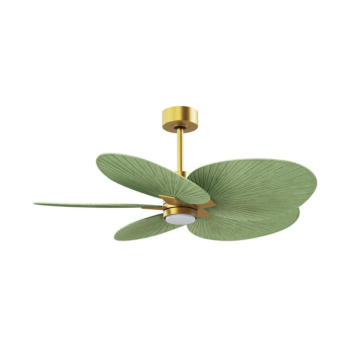 Matthews Fan Alessandra 1 Lt Tropical 48" 5 Blade Fan, Brass