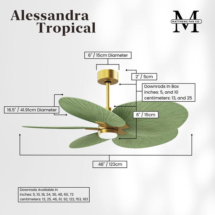 Matthews Fan Alessandra 1 Lt Tropical 48" 5 Blade Fan, Brass