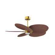 Matthews Fans Alessandra Tropical 48in 5-Blade Ceiling Fan | Brushed Brass and Walnut Tone ABS Blades | Covered Patio | Model AKTPLK-BRBR-WN