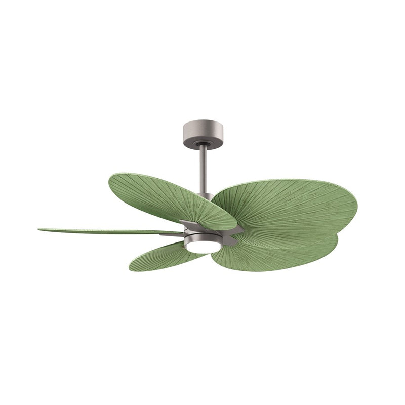 Matthews Fan Alessandra Tropical 48in 5-Blade Ceiling Fan | Transitional Matte White and Palm Leaf ABS Blades | Covered Patio | Model AKTPLK-MWH-PL