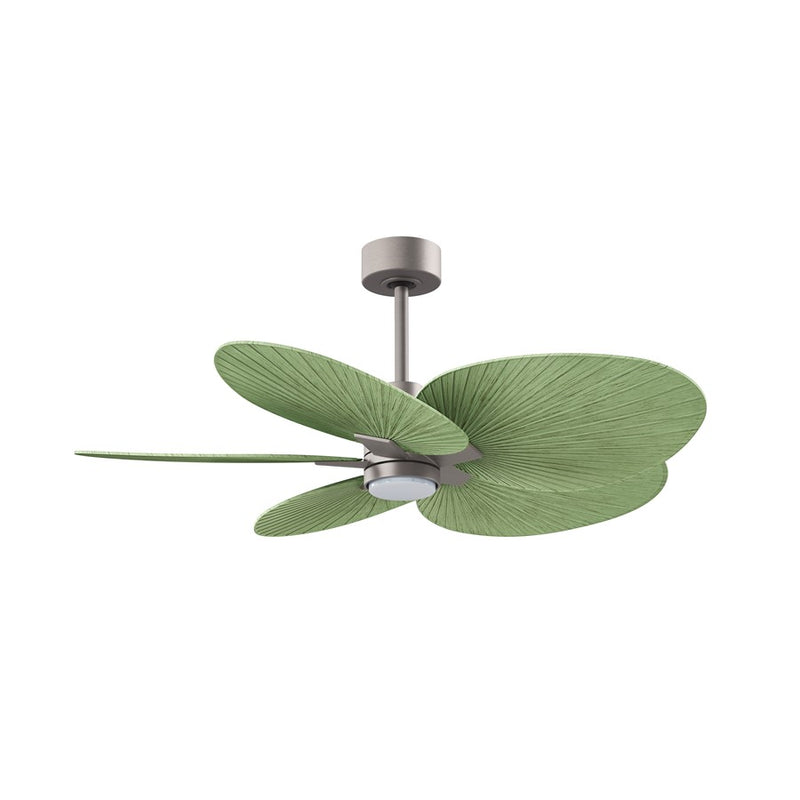 Matthews Fan Alessandra Tropical 48in 5-Blade Ceiling Fan | Transitional Matte White and Palm Leaf ABS Blades | Covered Patio | Model AKTPLK-MWH-PL