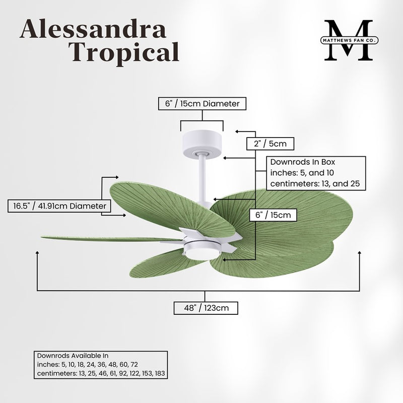 Matthews Fan Alessandra Tropical 48in 5-Blade Ceiling Fan | Transitional Matte White and Palm Leaf ABS Blades | Covered Patio | Model AKTPLK-MWH-PL