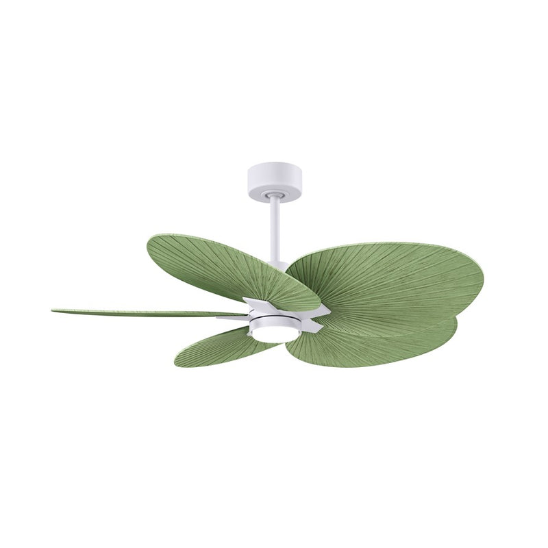 Matthews Fans Alessandra Tropical 48in 5-Blade Ceiling Fan | Textured Bronze and Palm Leaf ABS Blades | Covered Patio & Open | Model AKTPLK-TB-PL