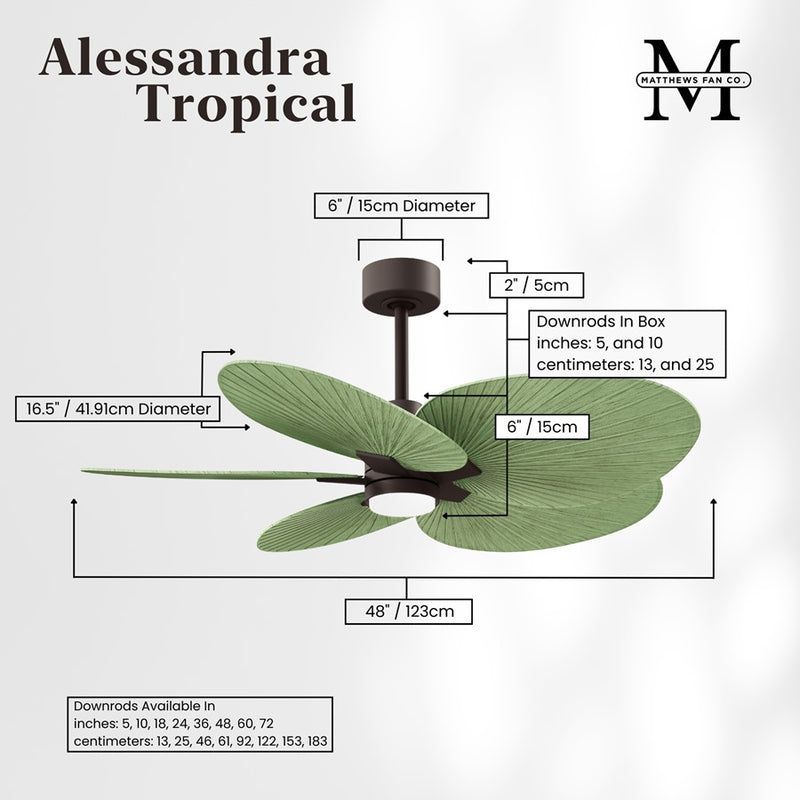 Matthews Fans Alessandra Tropical 48in 5-Blade Ceiling Fan | Textured Bronze and Palm Leaf ABS Blades | Covered Patio & Open | Model AKTPLK-TB-PL
