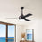 Matthews Fan Donaire 3 Blade 52" Paddle Fan, Brushed Bronze