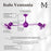 Matthews Fans Italo Ventania Rotational Ceiling, Ametista