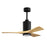 Matthews Fan Patricia-3 42" 3-Blade Ceiling Fan, Matte Black