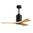 Matthews Fan Patricia-3 42" 3-Blade Ceiling Fan, Matte Black