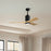 Matthews Fan Patricia-3 52" 3-Blade Ceiling Fan, Matte Black