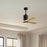 Matthews Fan Patricia-3 60" 3-Blade Ceiling Fan, Matte Black