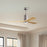 Matthews Fan Patricia-3 60" 3-Blade Ceiling Fan, Brushed Nickel