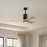 Matthews Fan Patricia-3 52" 3-Blade Ceiling Fan, Textured Bronze