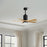 Matthews Fan Patricia-5 42" 5-Blade Ceiling Fan, Matte Black