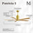 Matthews Fan Patricia-5 60" 5-Blade Ceiling Fan, Brushed Brass