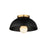 Maxim Lighting Thelonious 1 Light 12" Flush Mount, Black/Aged Brass - 10020BKNAB