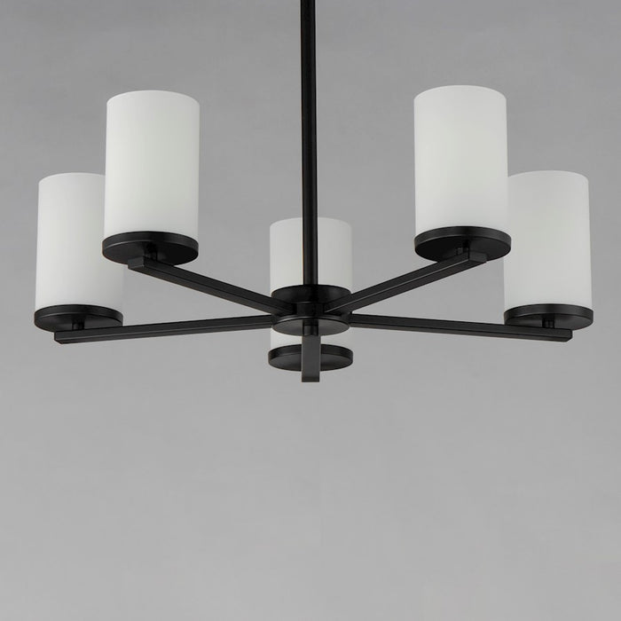 Maxim Lighting Lateral 5 Light Chandelier, Black/Satin White