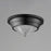 Maxim Lighting Hargreaves 1Lt Flush Mount, Black/Prairie Rib Frost