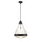 Maxim Lighting Hargreaves 1 Light Pendant, Black/Prairie Rib Frost - 10395PRBK