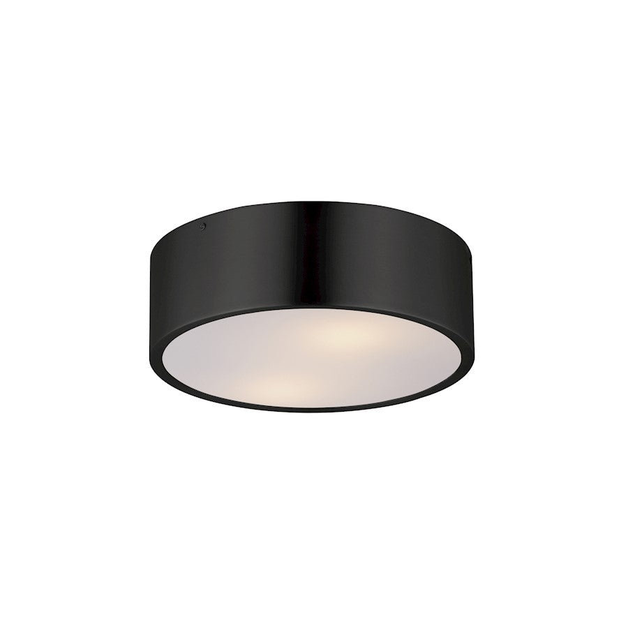 Maxim Lighting Tommy 2 Light 12" Surface Mount, Black/White - 10494WTBK