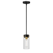 Maxim Lighting Pinn 1 Light Mini Pendant, Black/Satin Brass/Clear