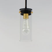 Maxim Lighting Pinn 1 Light Mini Pendant, Black/Satin Brass/Clear