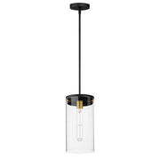 Maxim Lighting Pinn 1 Light Single Pendant, Black/Brass/Clear