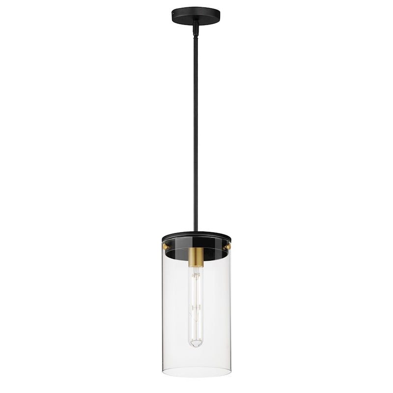 Maxim Lighting Pinn 1 Light Single Pendant, Black/Brass/Clear
