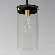 Maxim Lighting Pinn 1 Light Single Pendant, Black/Brass/Clear