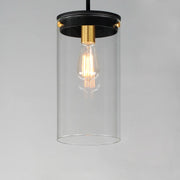 Maxim Lighting Pinn 1 Light Single Pendant, Black/Brass/Clear